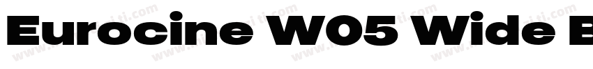 Eurocine W05 Wide Black字体转换